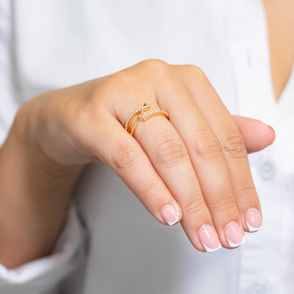 Anillo microzircones  Amulí