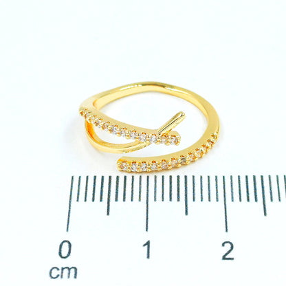 Anillo microzircones