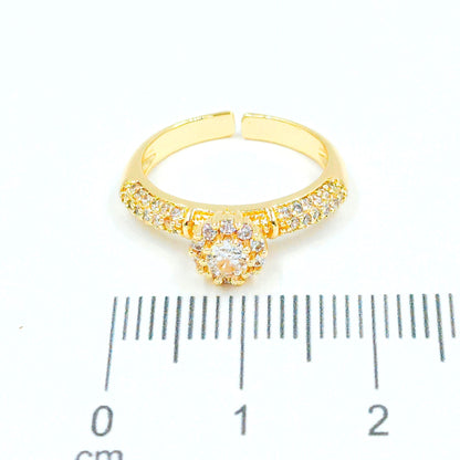 Anillo argolla microzircones