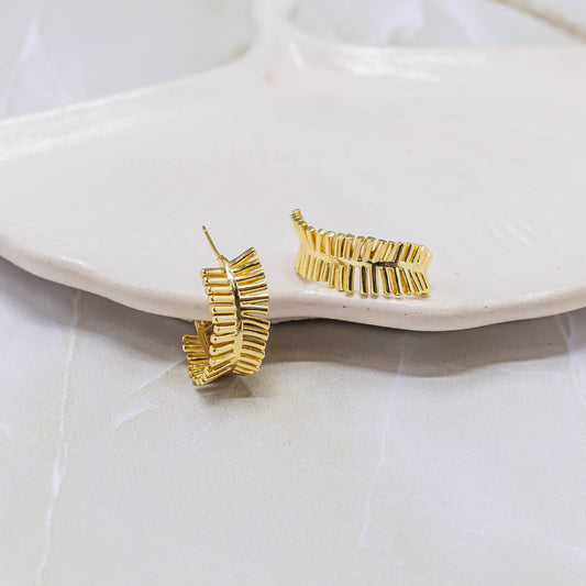 Candonga grande espiga