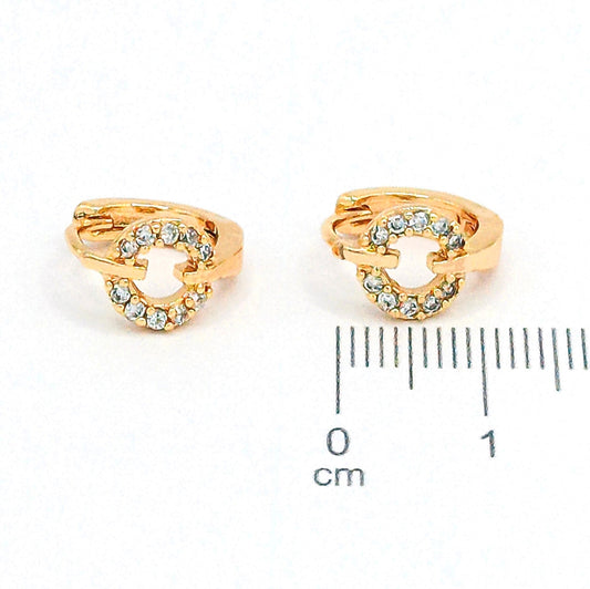 Candonga pqa aro microzircones (1cm)