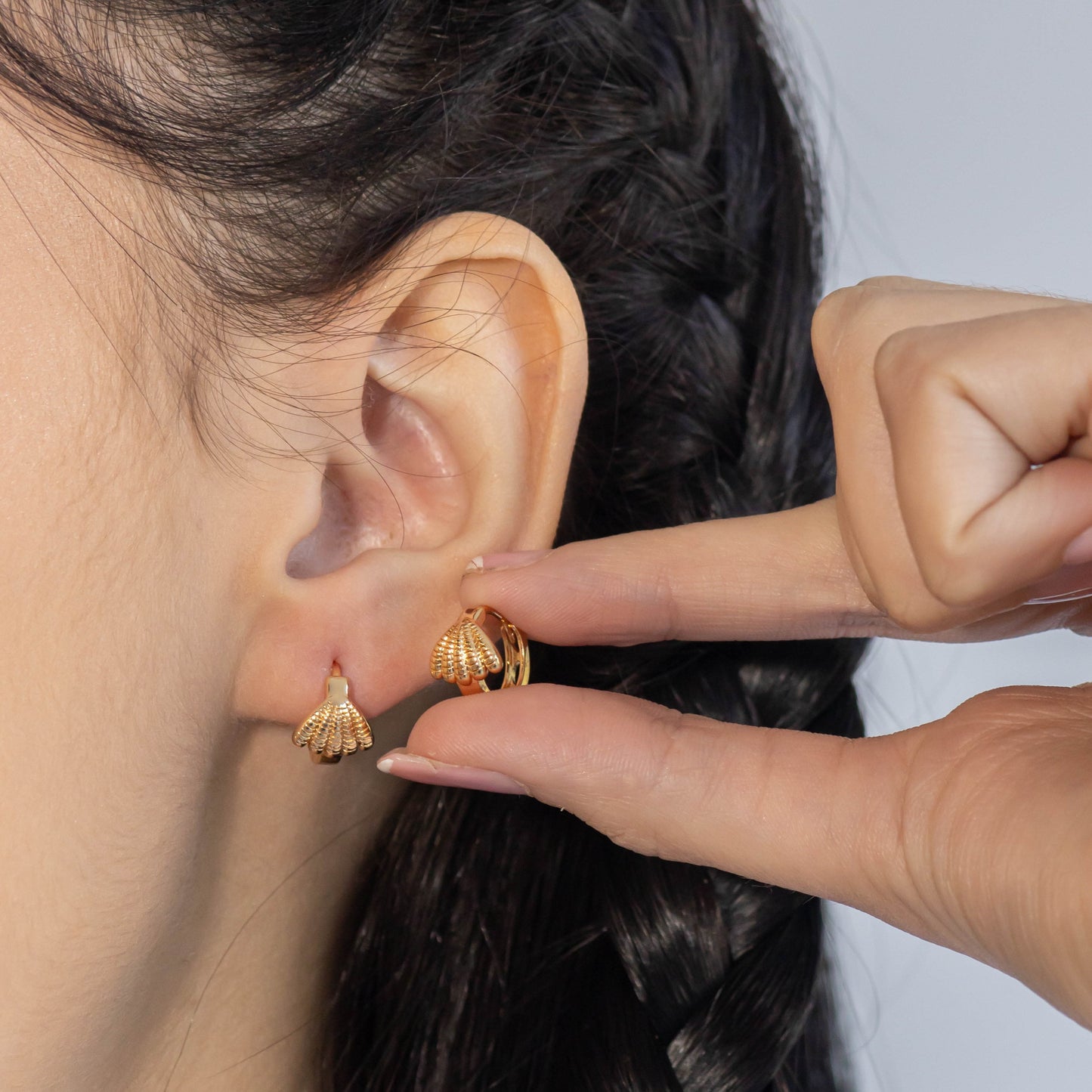 Candonga pequeña concha