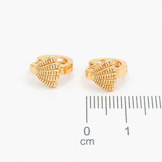 Candonga pequeña concha