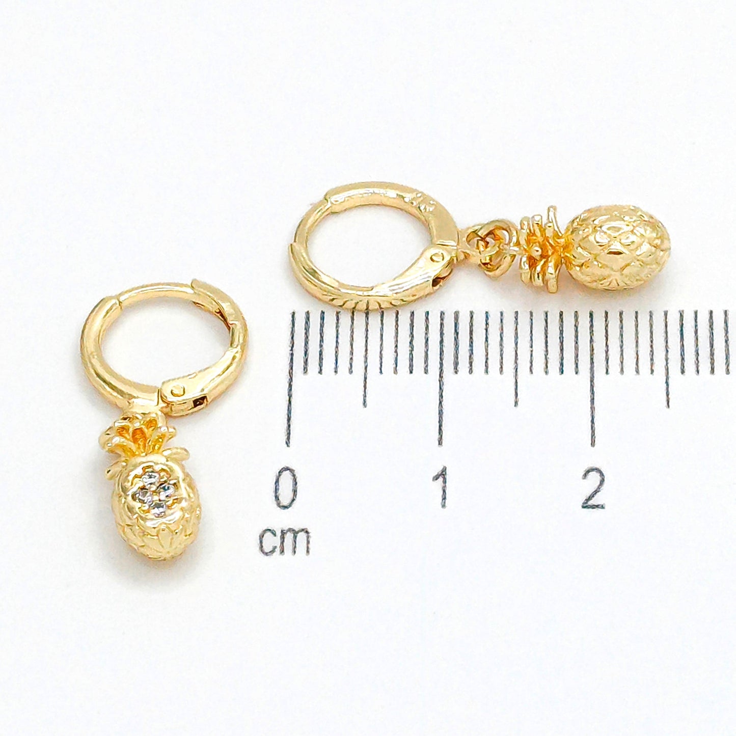 Cdga pequeña pina microzircones