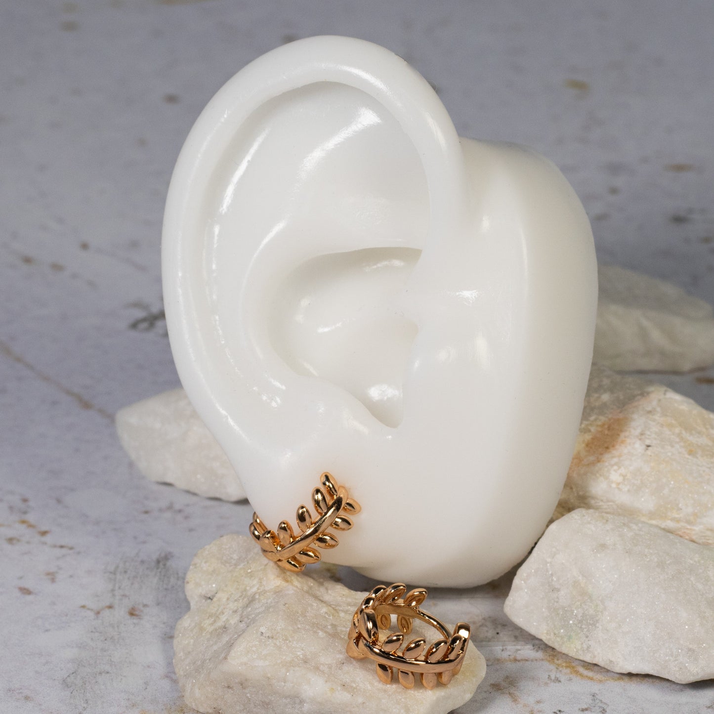 Cdga pequeña espiga