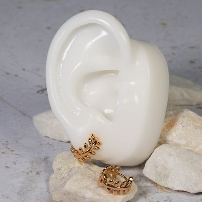 Cdga pequeña espiga