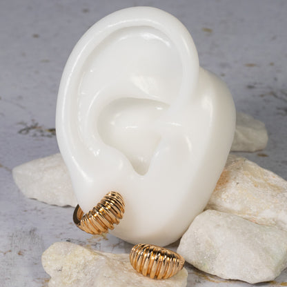 Cdga pqa oruga (1,4cm)