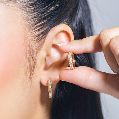 Cdga pequeña microzircones