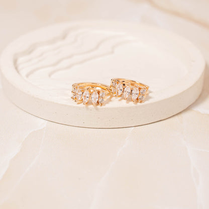 Candonga pequeña zircón