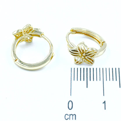 Accesorios CoverGold