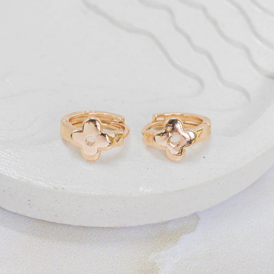 Accesorios CoverGold Amulí