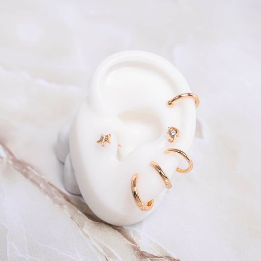 Accesorios CoverGold