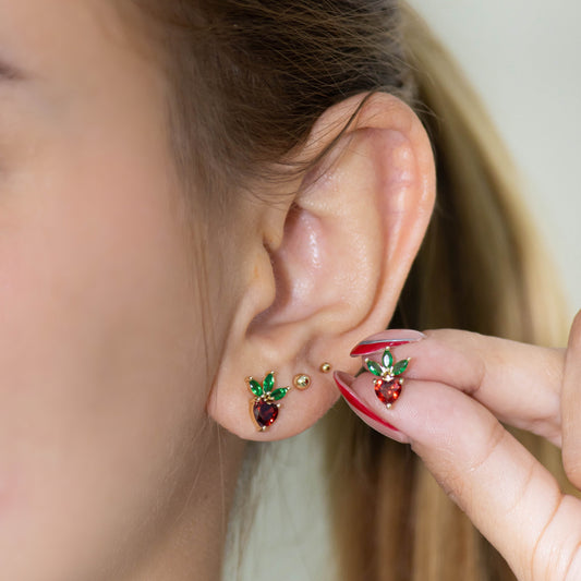 Topo fresa zircones Amulí