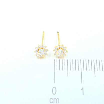 Topo sol microzircones