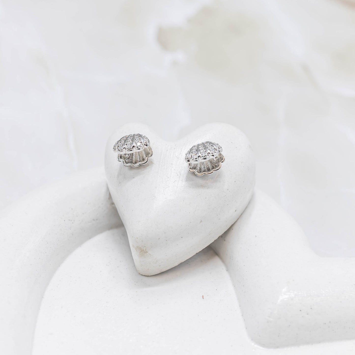 Topo concha microzircón P