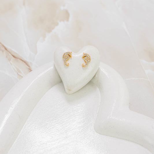 Topo caballito de mar