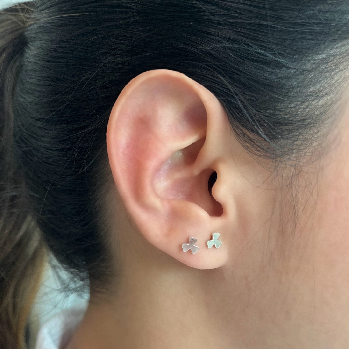 Topo plata hoja  Amulí